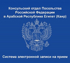 О введении электронной очереди в консульском отделе